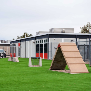 Warrior Fitness Training Site (WarFTS) - K9